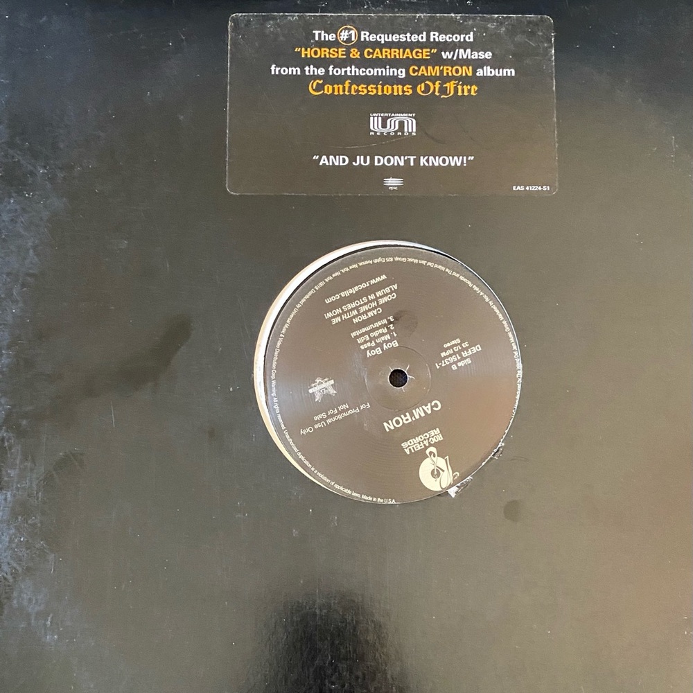 Cam’ron Diplomats vintage 12 inch vinyl record hip hop DMX Notorious Big Nas